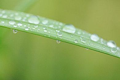 《如龙8外传》发售预告片 2月14日上线体验版